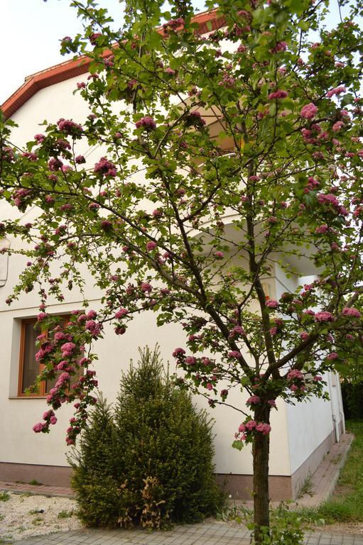Exit Routine Hostel Timisoara Exterior photo