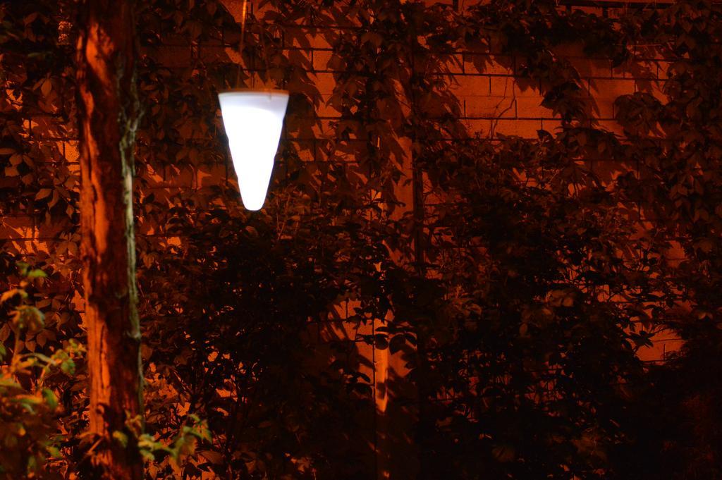 Exit Routine Hostel Timisoara Exterior photo